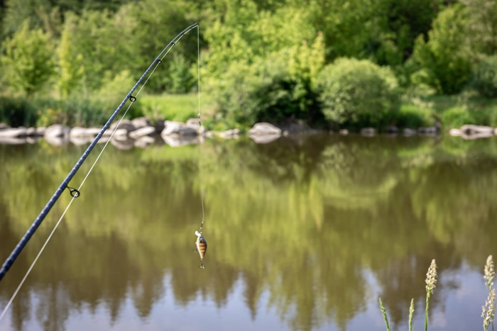Une ligne de pêche au bord de la Loire